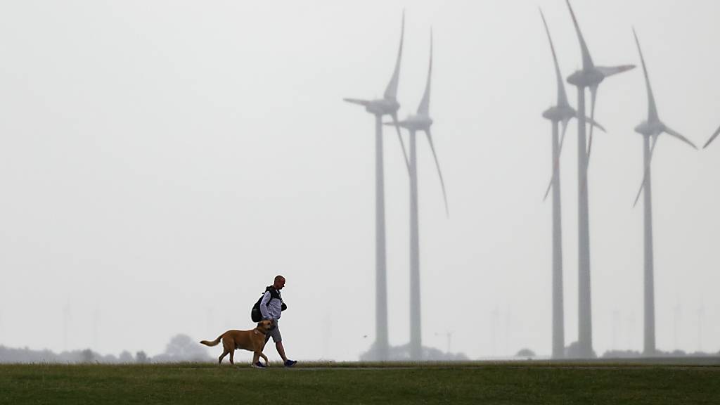 Symbolbild: Im Bild zu sehen ist ein Spaziergänger mit Hund vor Windrädern. Béziers will mittels DNA den verantwortlichen Hundehaltern Spur kommen.