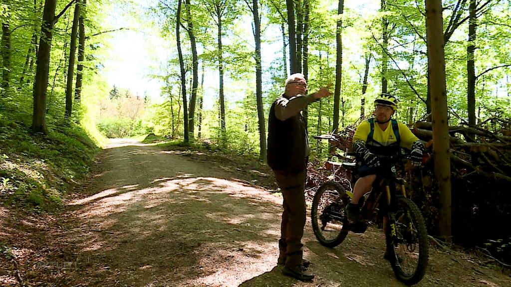 Wegen Bikern und Spaziergängern: Brauchts bald die Polizei im Wald?