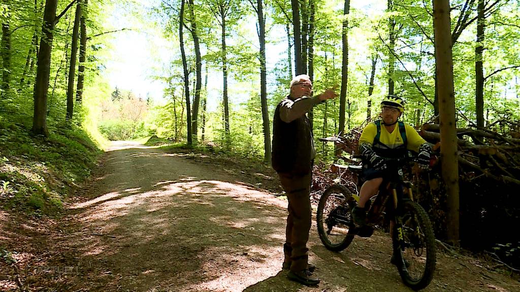 Gibt es schon bald im Wald mehr Polizeikontrollen?