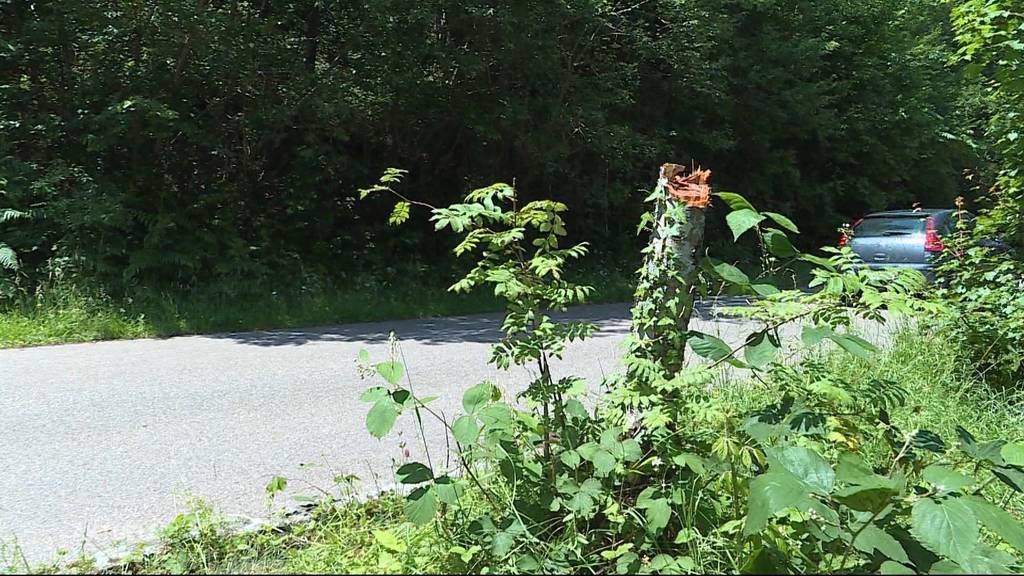 Aargauer Vandalen in Bad Säckingen 