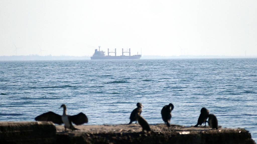 ARCHIV - Der türkische Massengutfrachter «Tq Samsun», der im Rahmen der Getreide-Initiative mit ukrainischen Agrarprodukten beladen wurde, verlässt den Hafen von Odessa in der Südukraine. Es handelte sich um das letzte Schiff im Rahmen des Getreideabkommens. Foto: Uncredited/Ukrinform/dpa
