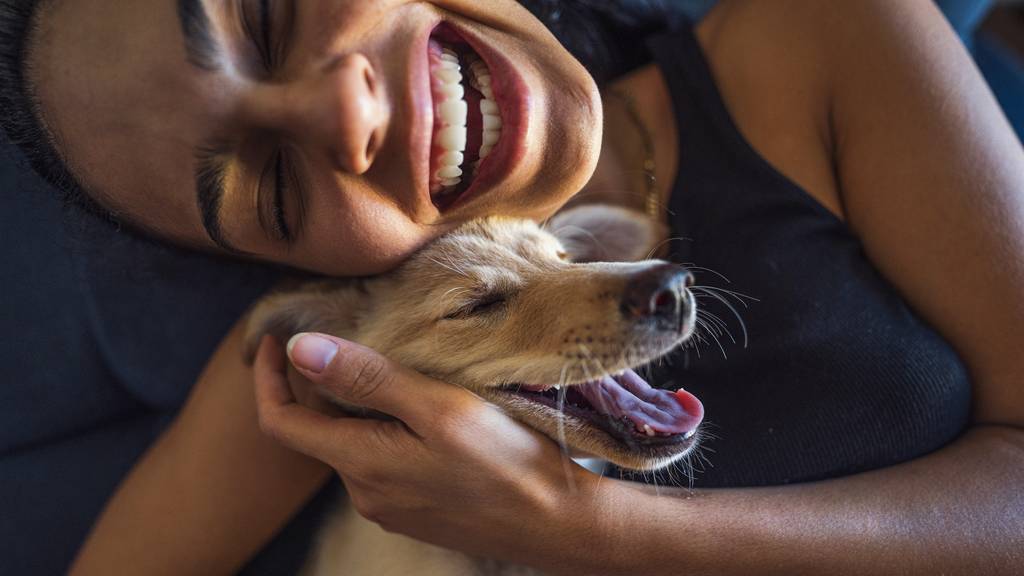 Bello oder doch Tyson? So findest du den perfekten Namen für deinen Hund