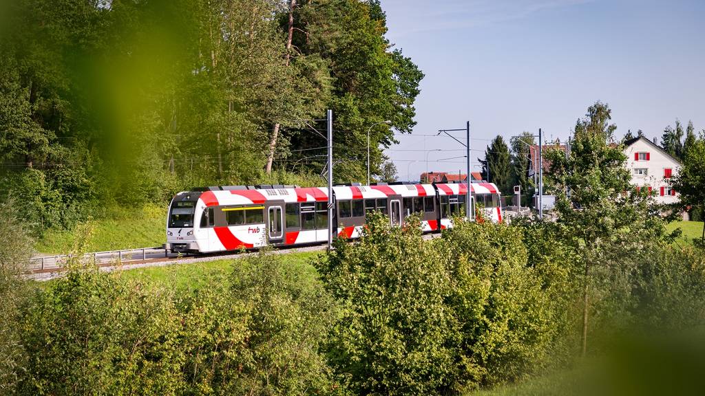 Frauenfeld-Wil-Bahn