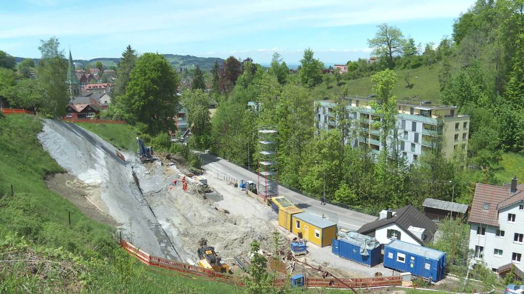 Vogelturm: 15'000 Franken für Mauerseegler-Nistplatz