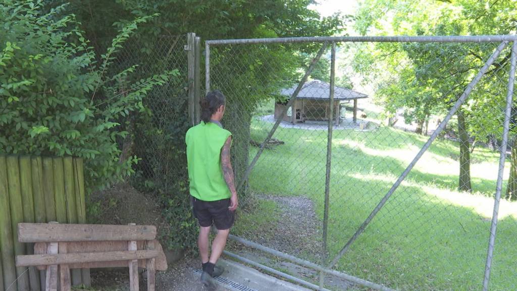 So aufwändig ist der Unterhalt des Hirschparks Luzern