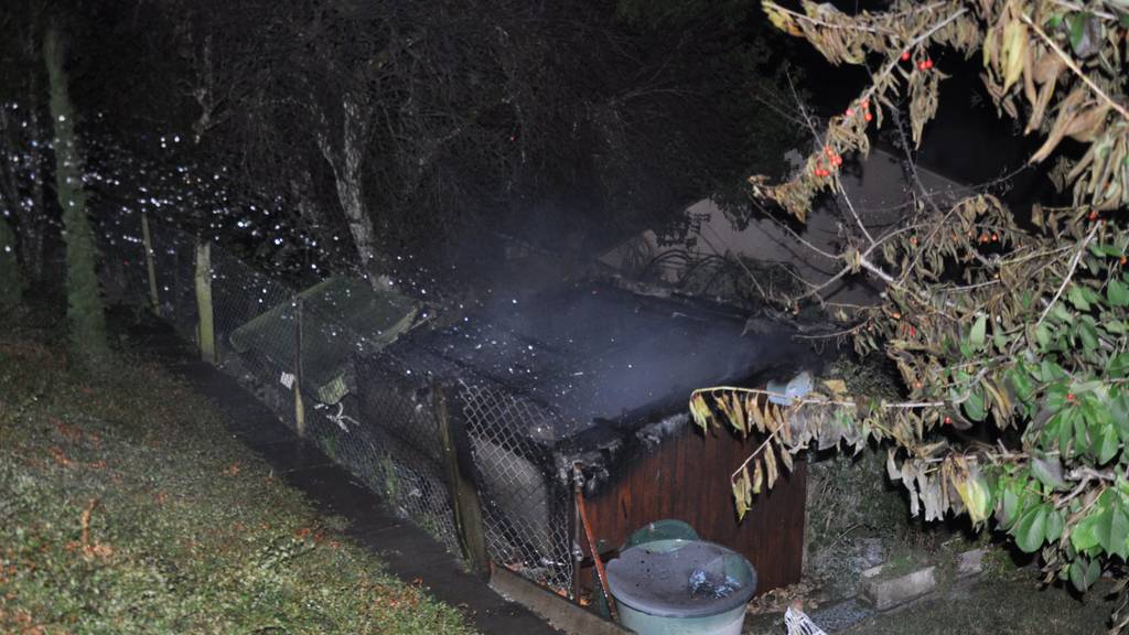 Gartenhaus in Brand geraten – Ursache noch unklar