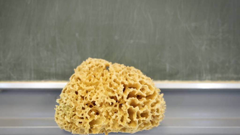 Die Schülerzahlen steigen an den Thurgauer Volksschulen weiter an. (Symbolbild)