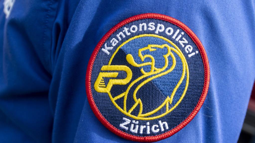 Die Kantonspolizei Zürich verhaftete am Dienstag einen «falschen Handwerker» in Hirzel. Der Franzose soll zwei Rentnerpaare mit schlechten und überteuerten Arbeiten betrogen haben. (Symbolbild)
