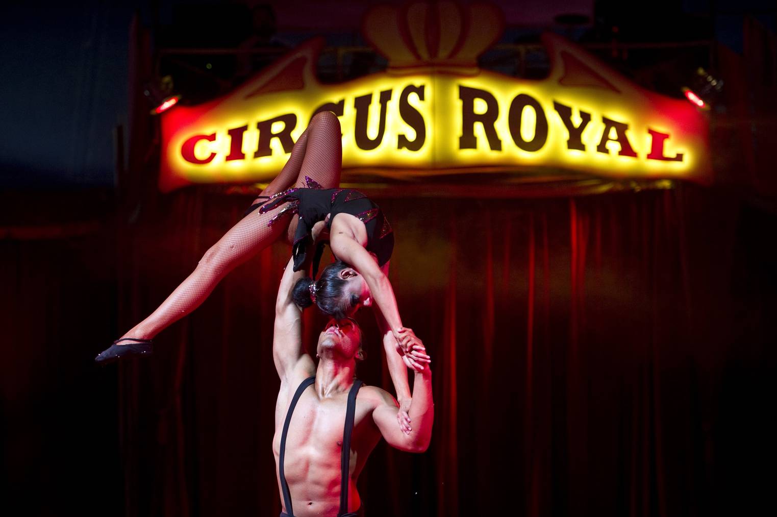 Der Circus Royal gastiert in Wildhaus. (Bild: TAGBLATT/Coralie Wenger)