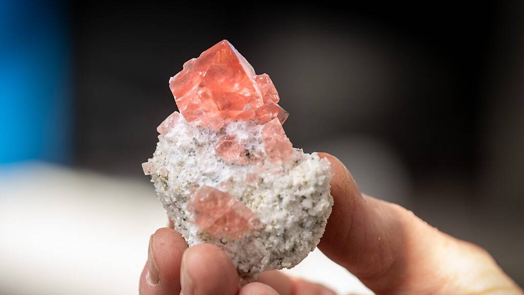 Ein Rosafluorit, der im Stollen der 2. Gotthardröhre geborgen wurde. Herausragend ist die Transparenz des rosa gefärbten Kristalls.