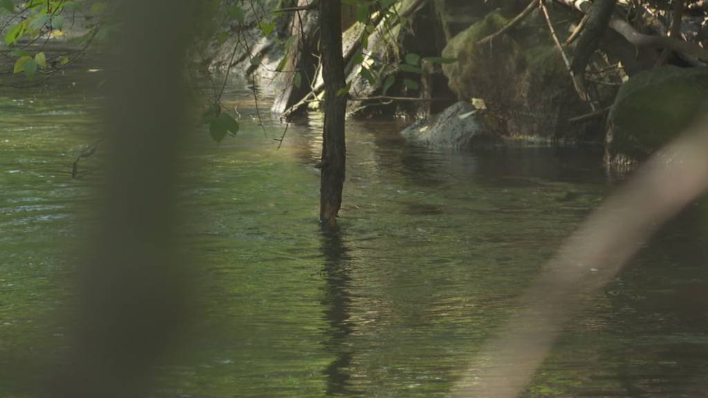 Kampf gegen die Wasserverschmutzung im TG