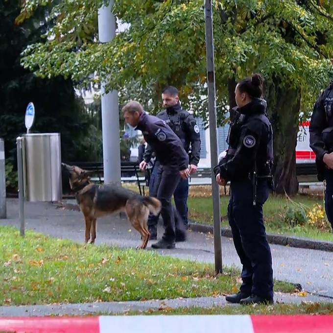 Polizei suchte Zürcher Obergericht mit Spürhunden ab