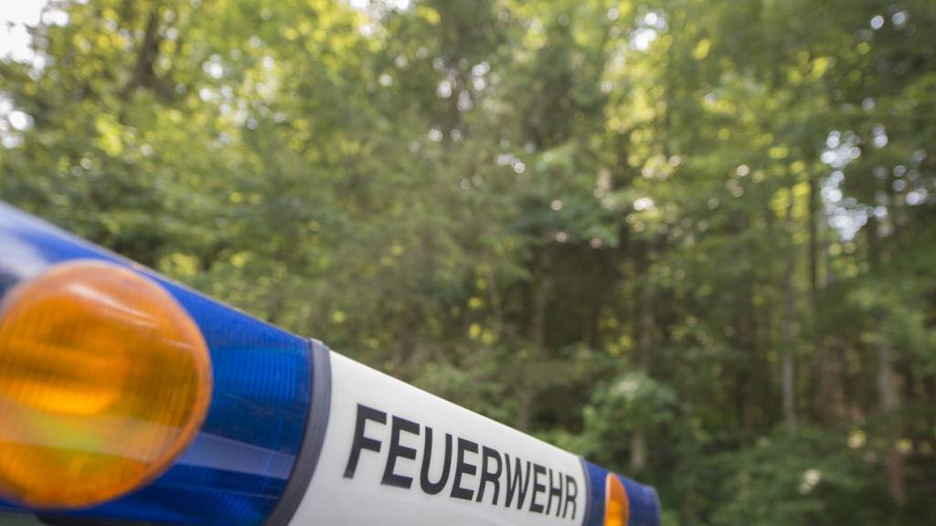 Die Polizei klärt die Ursache des Brandes in einer Schreinerei in Spiringen ab. (Symbolbild)
