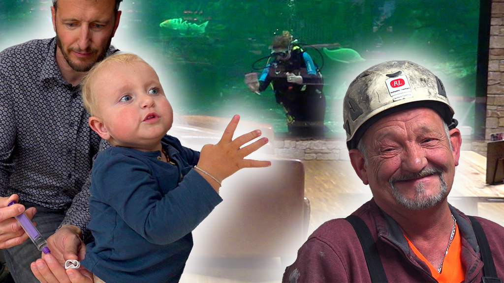 «Best of +41» 2025