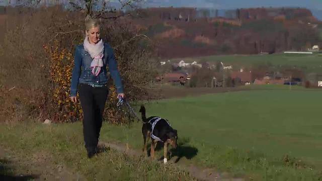 Aus dem Tierheim des Berner Tierschutzes Oberbottigen