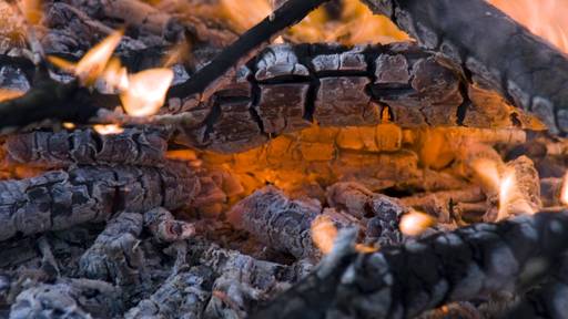 Luzernerin (55) entsorgt Asche in Grüngutcontainer – dieser fängt an zu brennen 