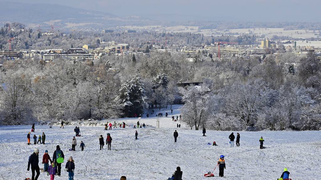 Schnee Winter Schlitteln Zürich 12.12.2022