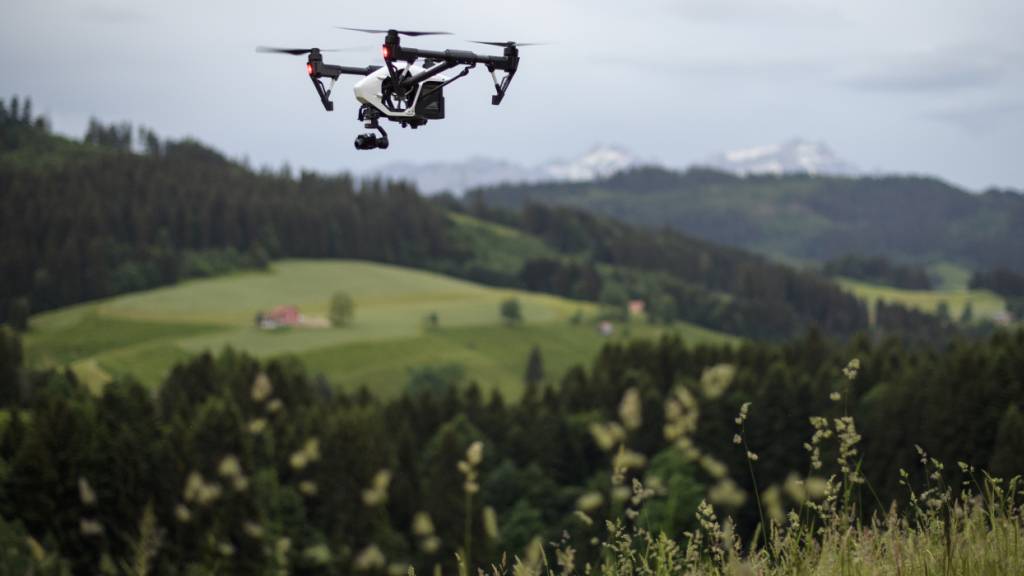 Appenzell Innerrhoden rettet 68 Wildtiere vor dem Mähtod