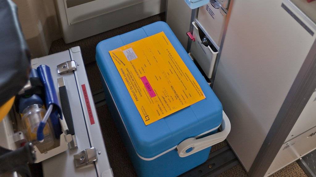 Kühlbox mit einem Spenderherz an Bord eines Flugzeugs. (Symbolbild)
