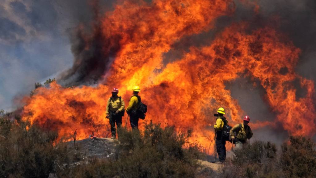 Feuerwehrleute sind bei einem Waldbrand - dem sogenannten «Apple Fire» - im US-Bundesstaat Kalifornien im Einsatz. Foto: Ringo H.W. Chiu/AP/dpa