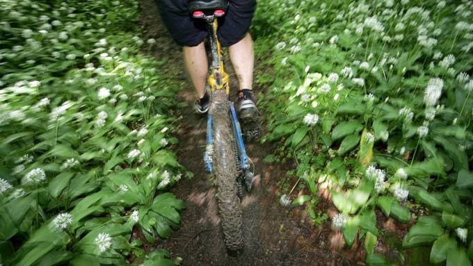Bike-Fans brauchen noch Geduld: Bireggwald-Trails kommen verspätet