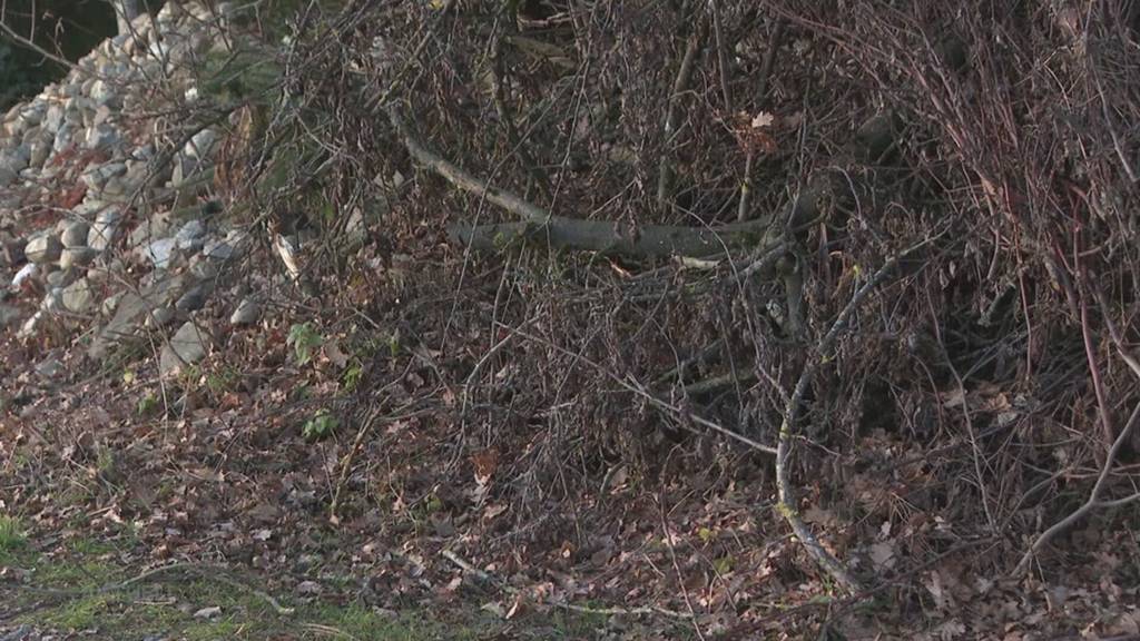 Tragische Feuerwerks-Unfälle: Toter in Schenkon, Schwerverletzter in Dottikon