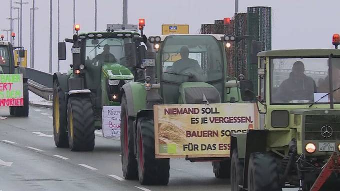 Darum machen Schweizer Bauern bei den Protesten nicht mit