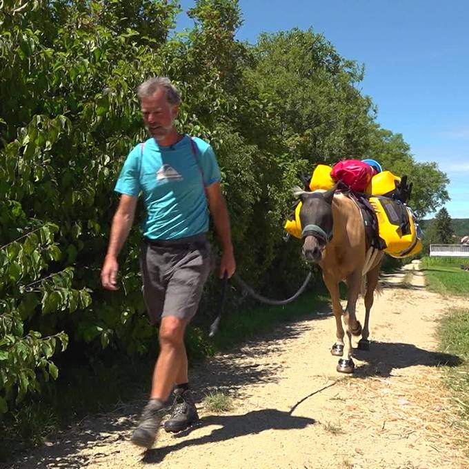 Thomas Hasler kündigt Job und geht mit dem Pferd auf Wanderschaft