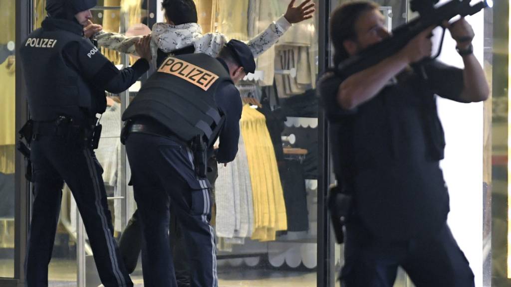 ARCHIV - Schwerbewaffnete Polizisten kontrollieren in der Wiener Innenstadt eine Person. Ein Beamter hat sein Gewehr im Anschlag. Nach den blutigen Anschlägen in Wien, Nizza und Dresden will die EU-Kommission den Kampf gegen den Terror in Europa forcieren. Foto: Roland Schlager/APA/dpa