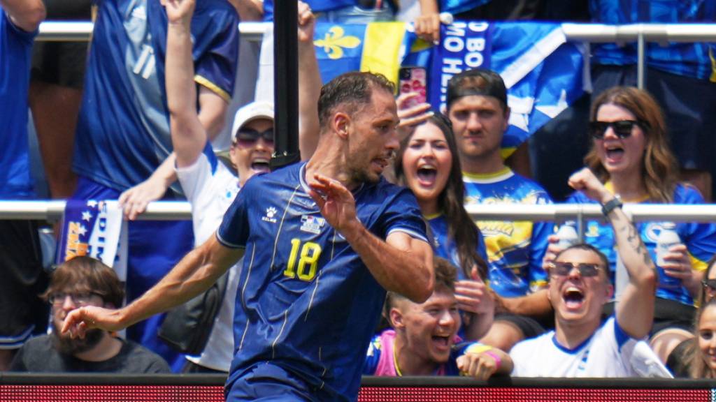 1:1 von Bosnien-Herzegowina im letzten WM-Test