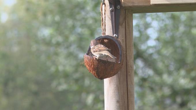 Dieser Garten in Muhen bietet alles, was das Vogel-Herz begehrt