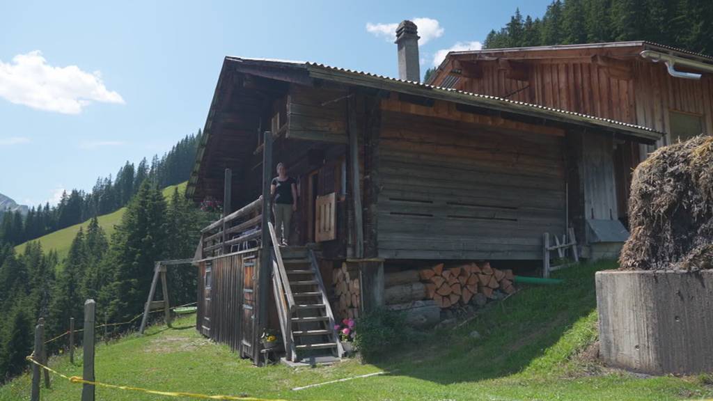 Vorschau «Mis Dihei»