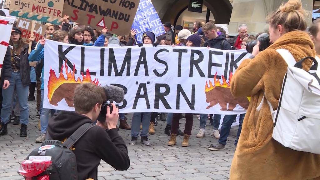 Tausende streiken für mehr Klimaschutz 