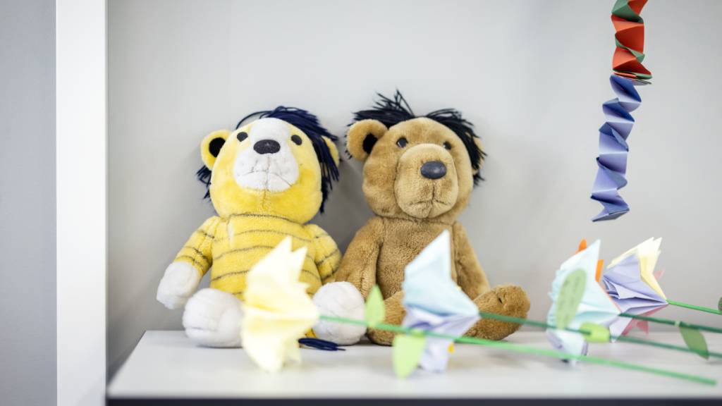 Die SP wollte, dass Klassenassistenzen eine obligatorische Ausbildung bekommen. Mit der Forderung stand die Partei jedoch alleine da. (Archivbild)