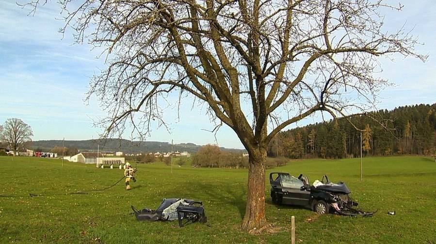 Weshalb die Frau mit einem Baum kollidierte, ist noch unklar. Bild: Beat Kälin, kameramann.ch