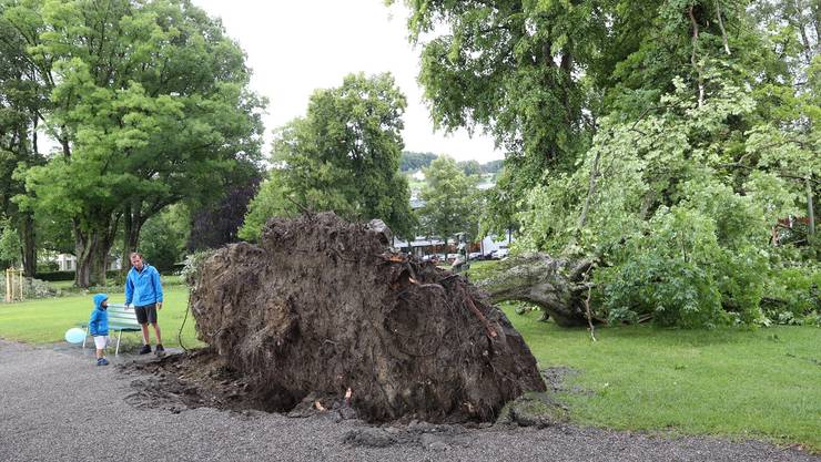 Gewitter in Zentralschweiz: Eine Person in Obwald in ...