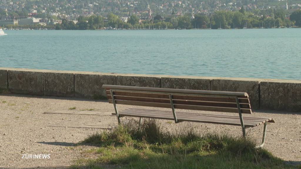 Therapiesitzungen auf Zürcher Parkbänken