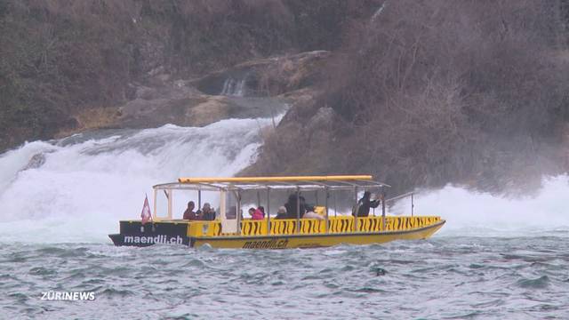 Reinfall: Bootstour am Rheinfall kostet plötzlich doppelt so viel