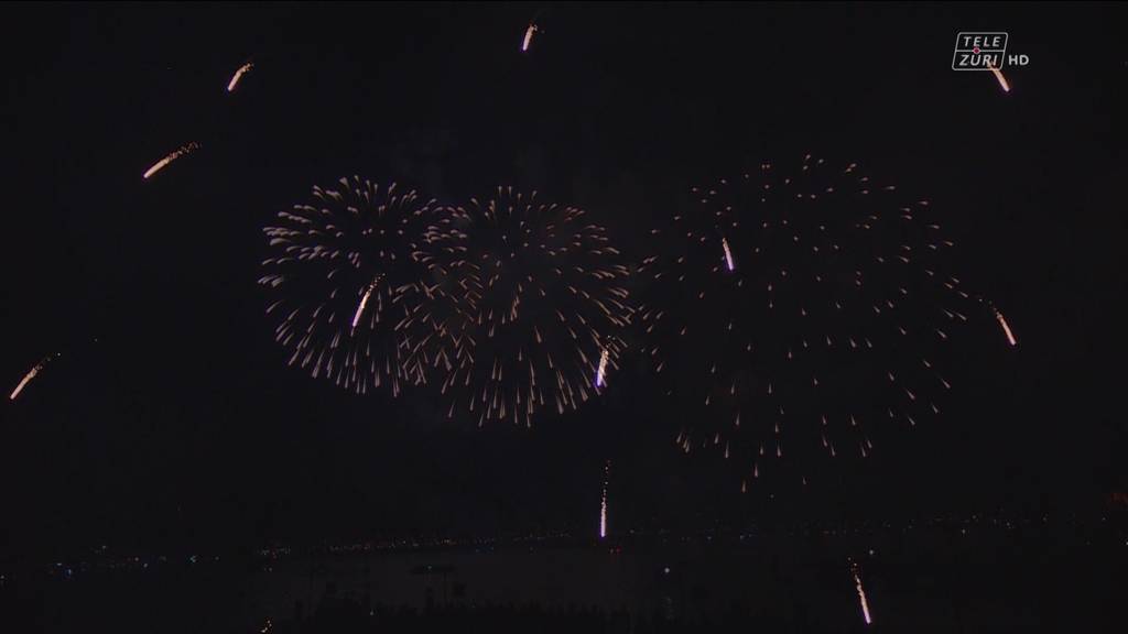 Silvesterfeuerwerk