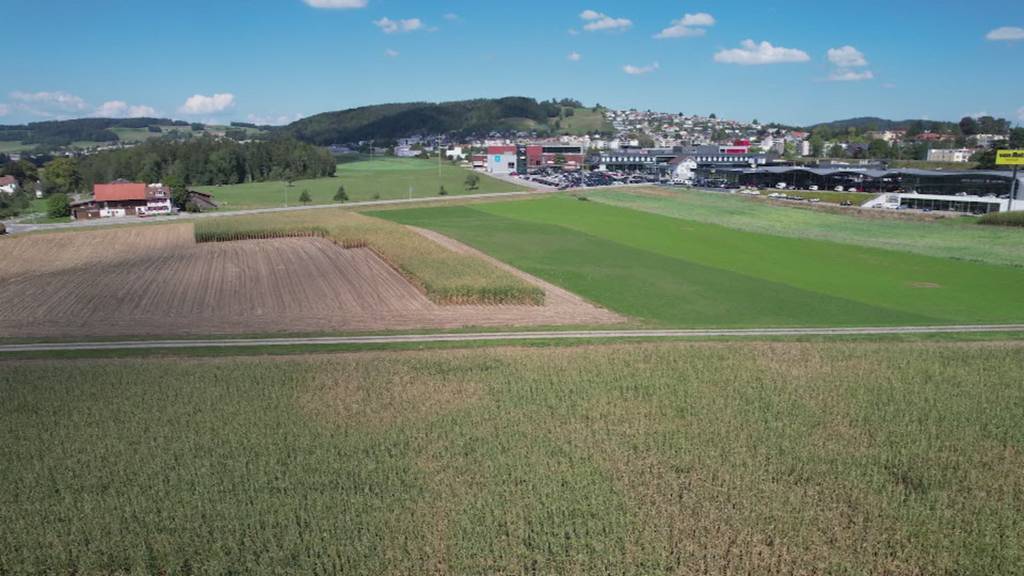 Pläne nach Volks-Nein von Wil West