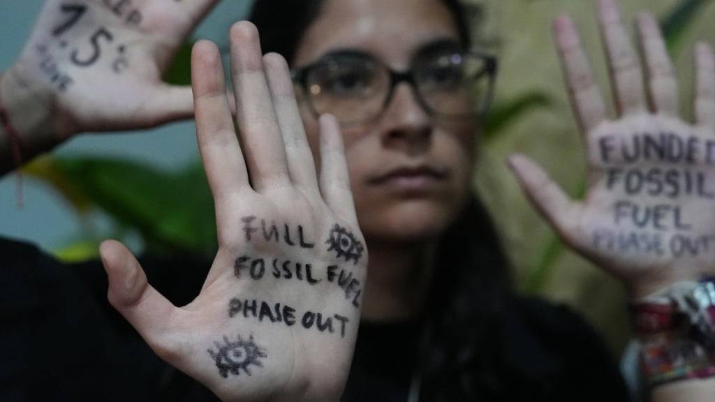 dpatopbilder - Aktivisten nehmen an einer Demonstration vor dem Verhandlungsort des UN-Klimagipfels COP30 teil. Foto: Joshua A. Bickel/AP/dpa