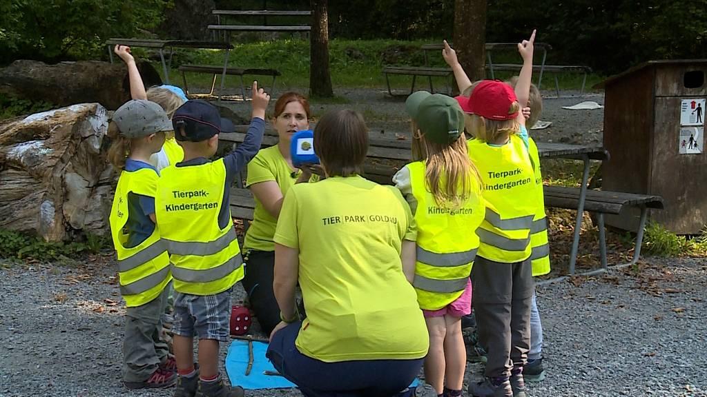 Tierpark Kindergarten