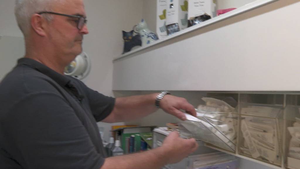 Frau im Kanton St.Gallen erschiesst eigenen Hund: Tierarzt klärt auf