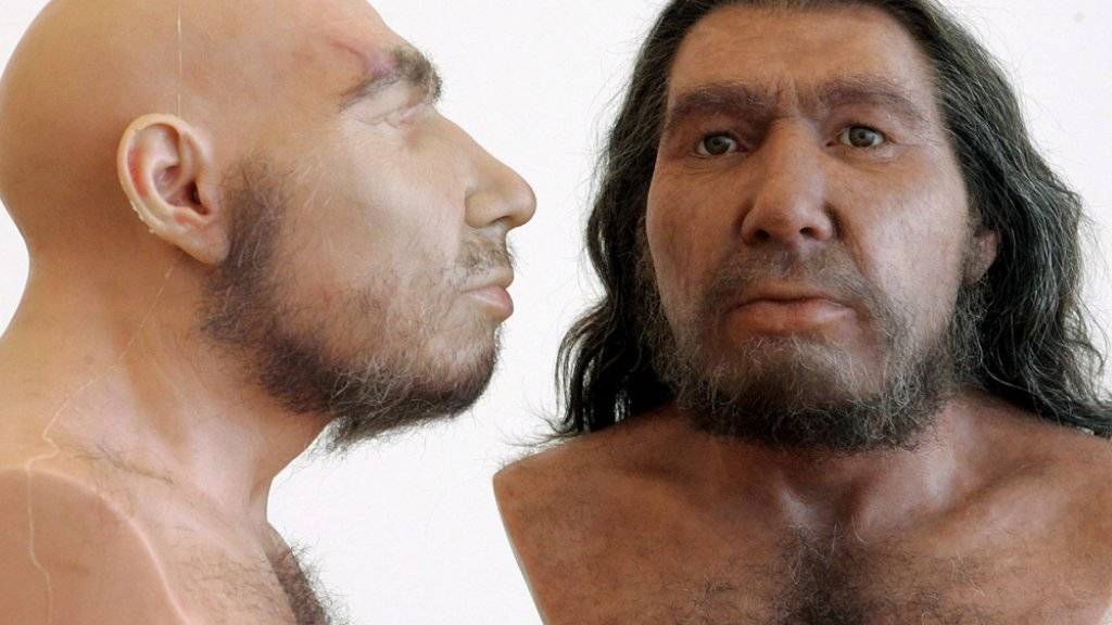 Mit ihrem anders geformten Gesicht konnten Neandertaler mehr Luft einatmen als moderne Menschen. (Archiv)