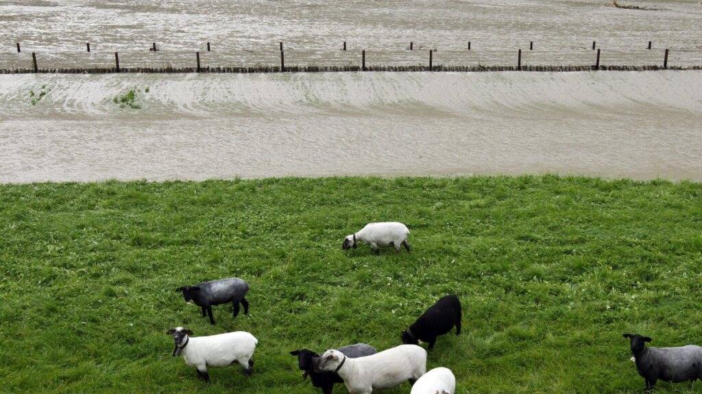 An der Engelbergeraa kommt es bei starken Regenfällen zu Überflutungen, wie hier in Wolfenschiessen NW im Oktober 2011. (Archivaufnahme)