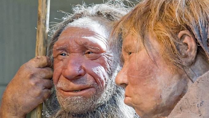 Neandertaler waren Feinmotoriker