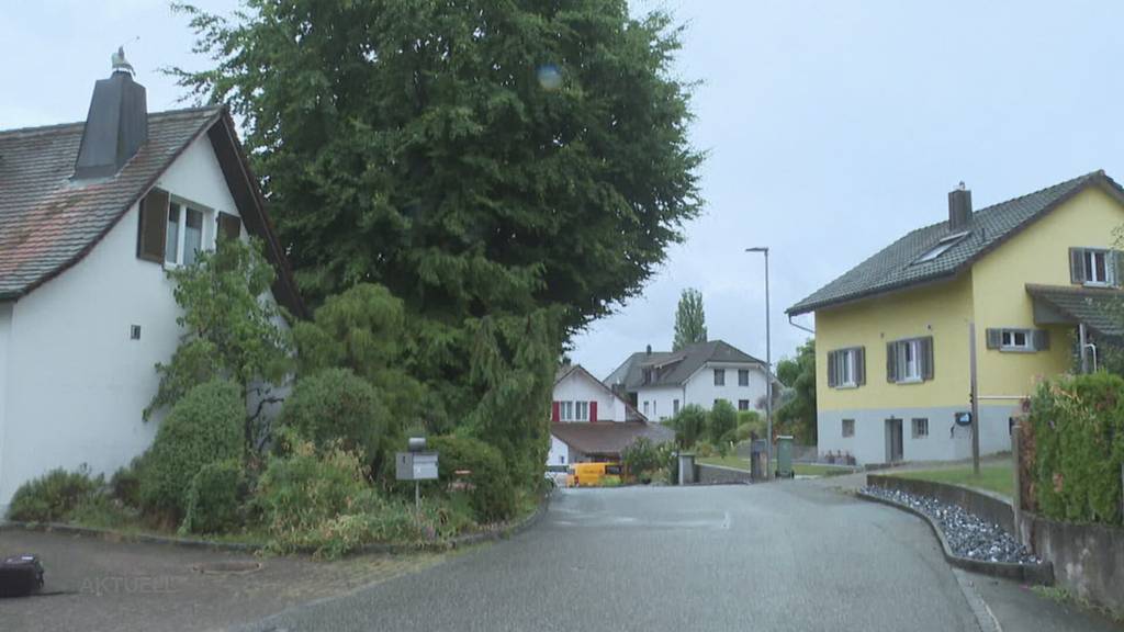 Urteil: Nach über 100 Jahren fällt in Kölliken eine Buche einem Nachbarschaftsstreit zum Opfer