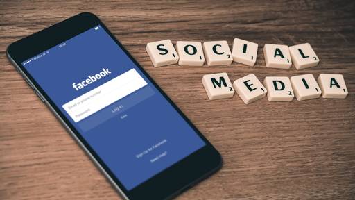 Praktikum Online/Social Media TeleZüri 100% (a)