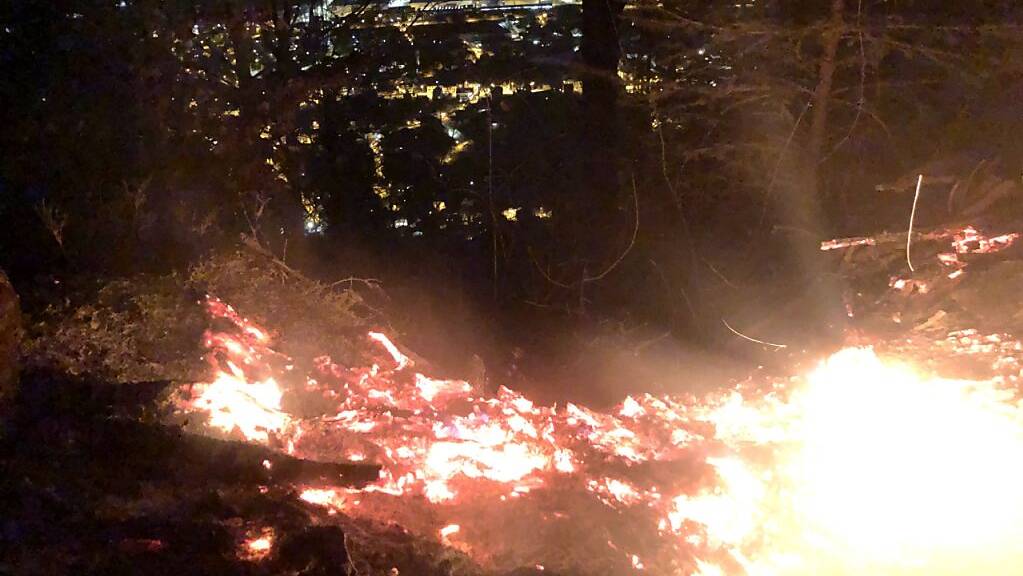In Näfels GL brannte es am Montagabend im Unterholz. Die Feuerwehr konnte die Flammen löschen.