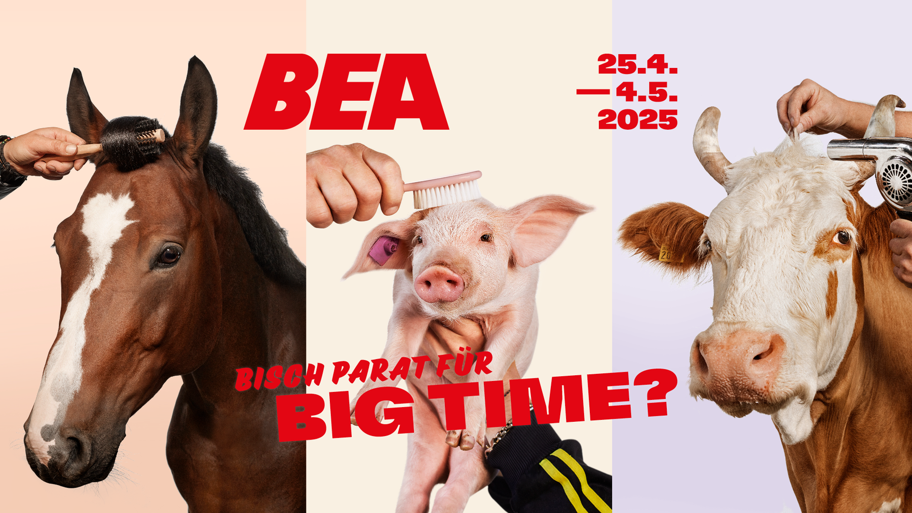 BEA25